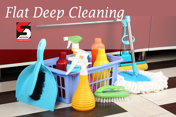 flat deep cleaning services - sadguru.png